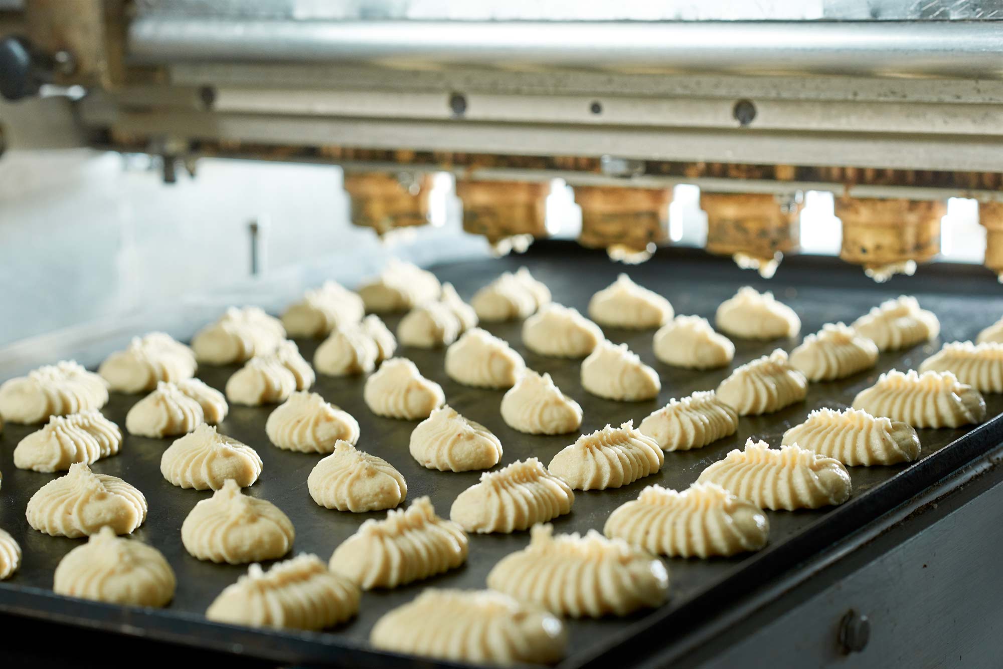 Linea automatica per la produzione di biscotti in un impianto alimentare